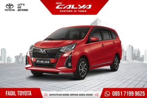 NEW CALYA