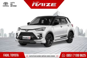 ALL NEW RAIZE